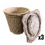 Swarm Trap - Pressed Flower Pot Style