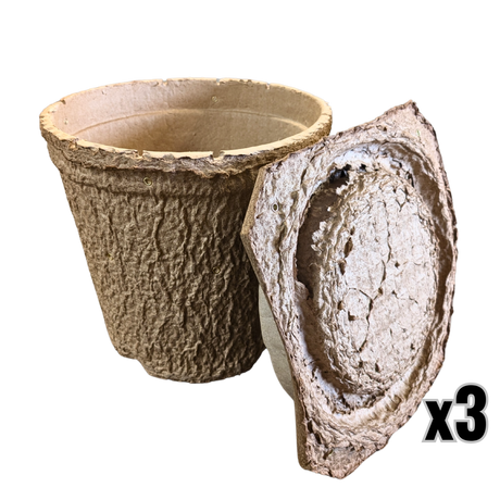Swarm Trap - Pressed Flower Pot Style