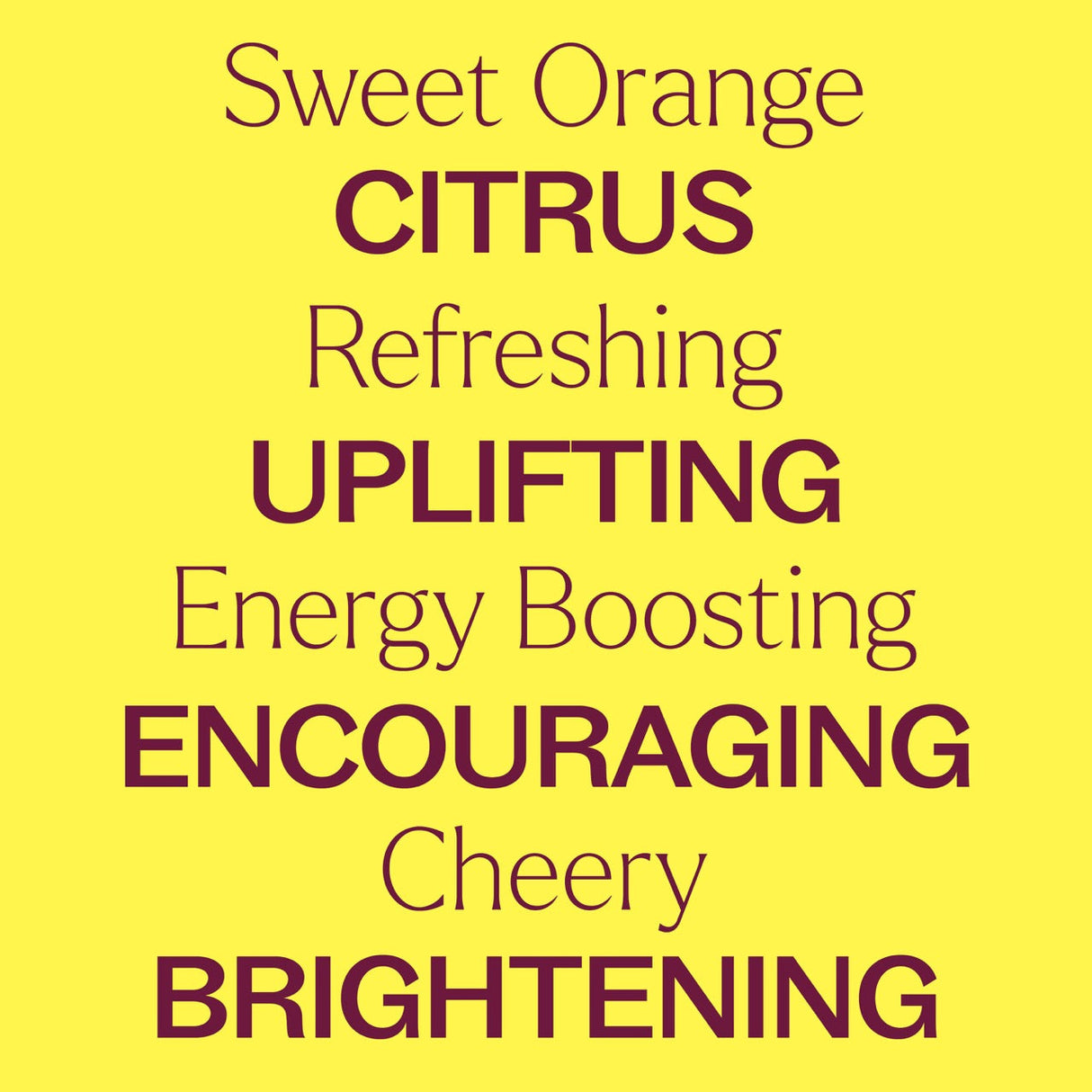 Sweet Orange Essential Oil