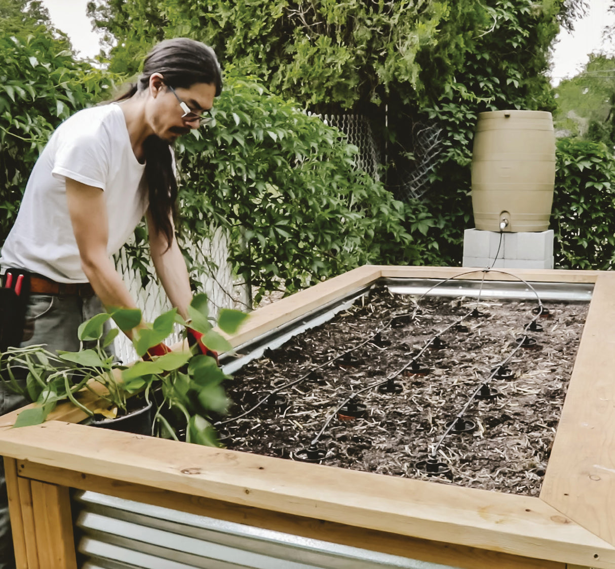 Thirsty Earth: CottaCup Automatic Olla Watering System For Your Garden