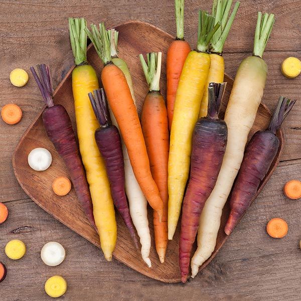 Starburst Carrot Blend