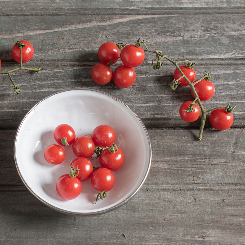 Matt's Wild Cherry Tomato