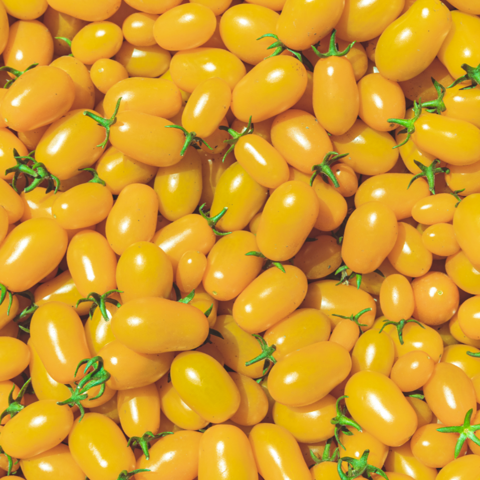 Yellow Plum Tomato