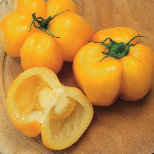 Yellow Stuffer Tomato