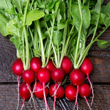 Cherry Belle Radish