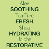 Tea Tree Body Lotion with Aloe and Shea