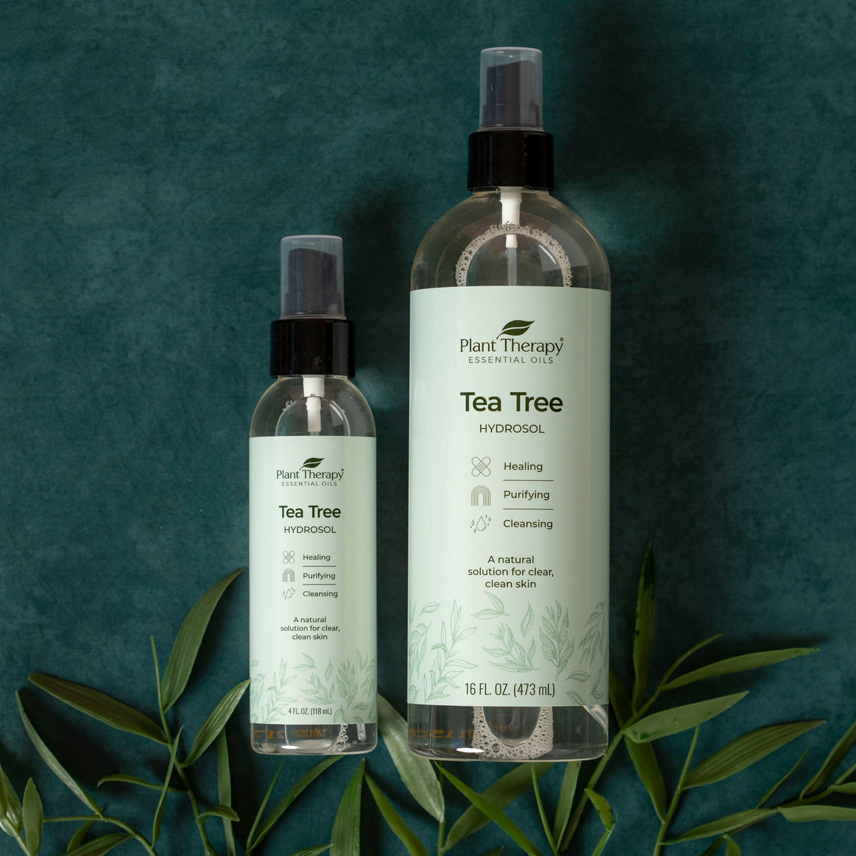 Tea Tree Hydrosol