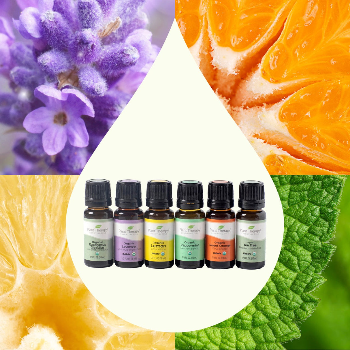 Top 6 Organic Singles Essential Oil Set