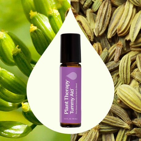 Tummy Aid Essential Oil Pre-Diluted Roll-On Blend