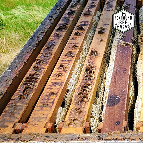 Universal Fume Board