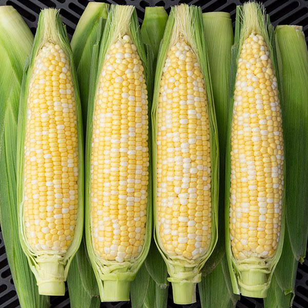 Allure F1 Sweet Corn