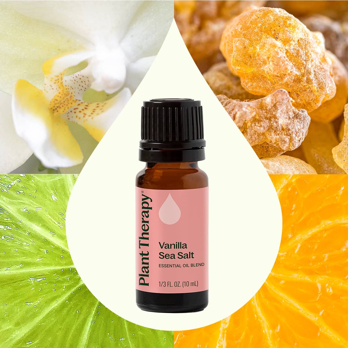 Vanilla Sea Salt Essential Oil Blend