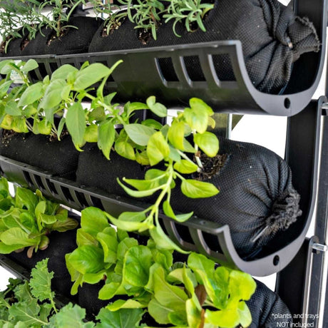 Varden™ Empty Mesh