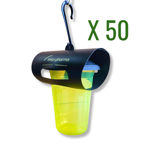 Vespa Catch: Asian Hornet Trap