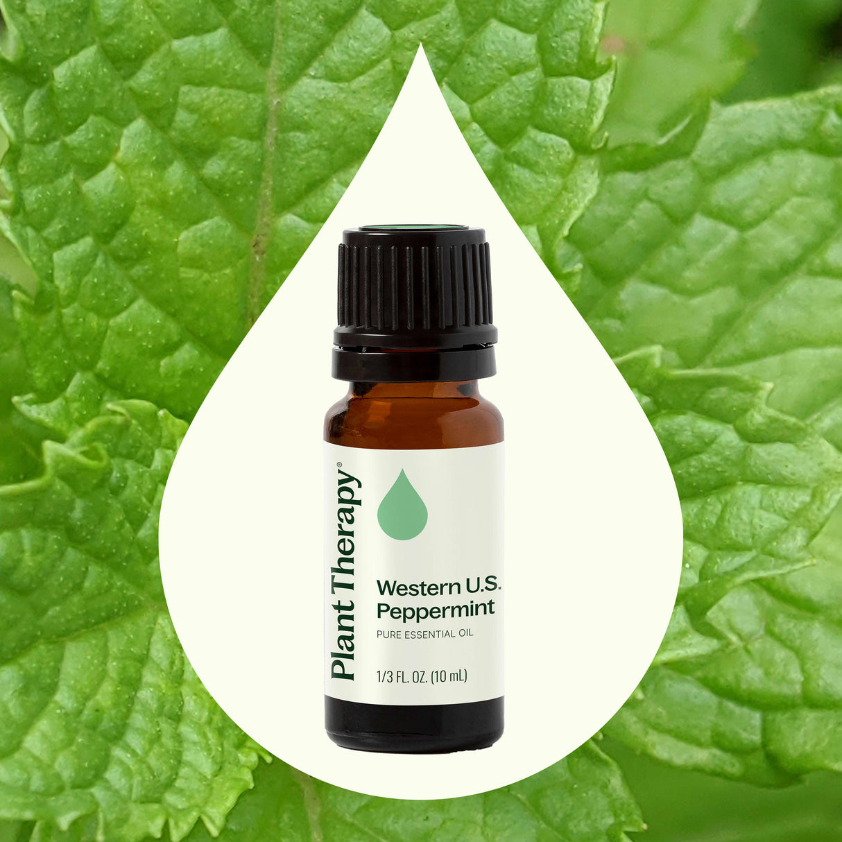 Western U.S. Peppermint Essential Oil