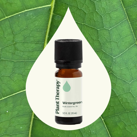 Wintergreen Essential Oil