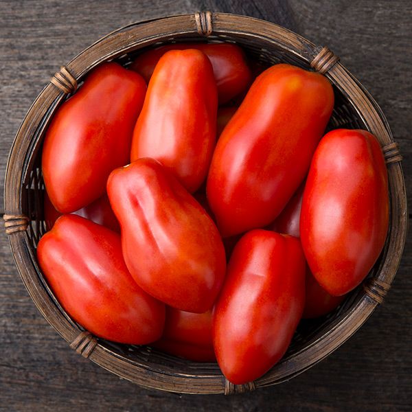 San Marzano Paste Tomato