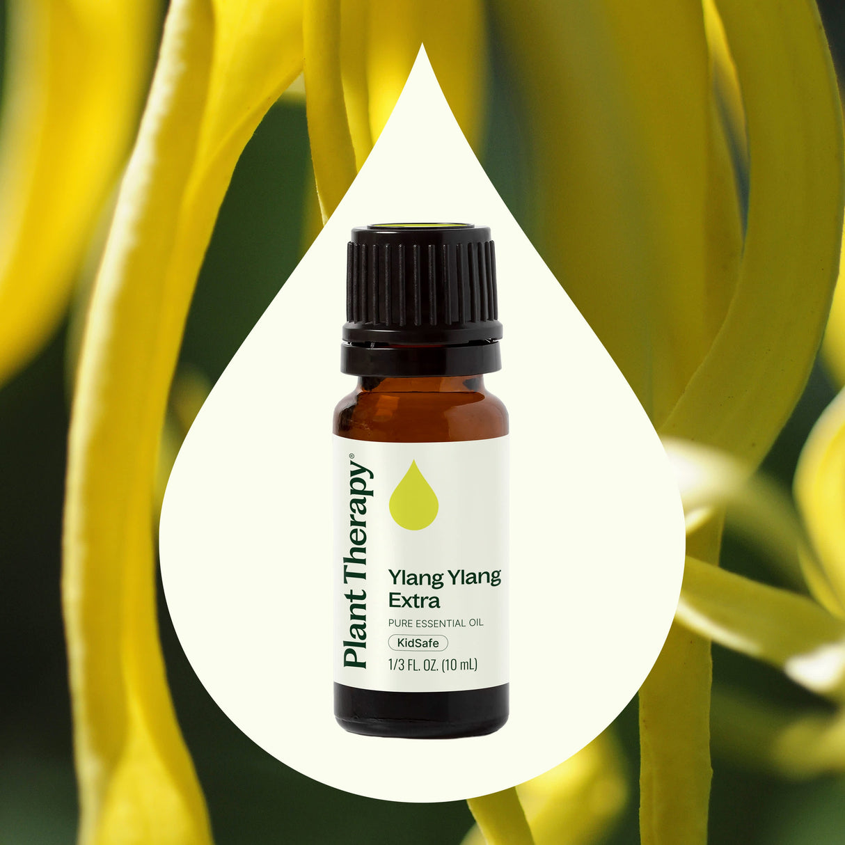 Ylang Ylang Extra Essential Oil