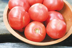 Arkansas Traveler Tomato