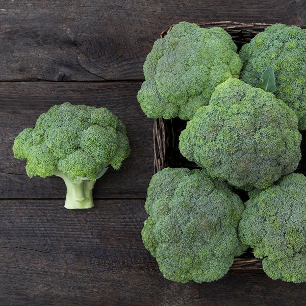 Belstar F1 Broccoli