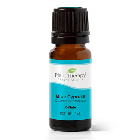 Blue Cypress Essential Oil