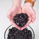 Blueberries Freeze Dried - #10 Can