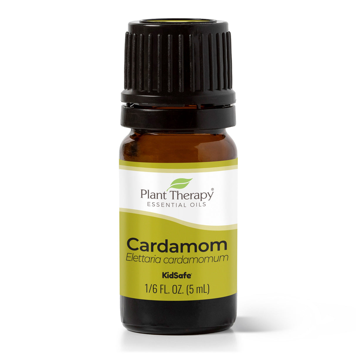 Cardamom Essential Oil