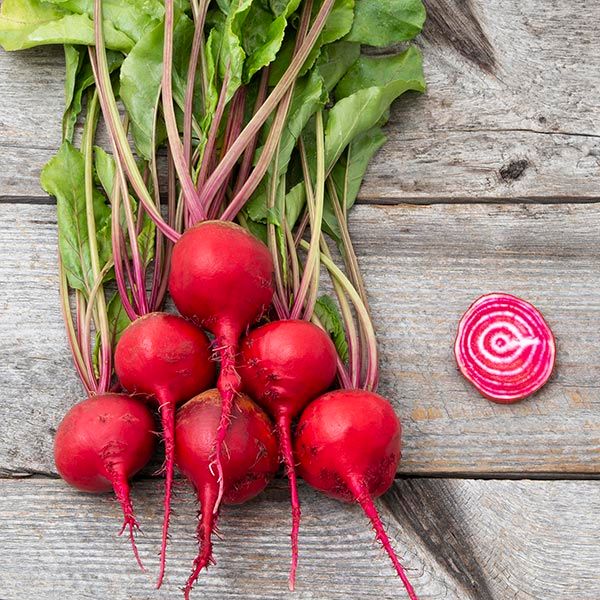 Guardsmark Chioggia Beet