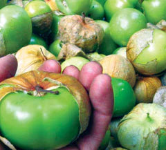 Cisineros Grande Tomatillos