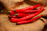 100 MIXED CAYENNE PEPPER Hot Yellow Purple Orange Red Green Capsicum Vegetable Seeds
