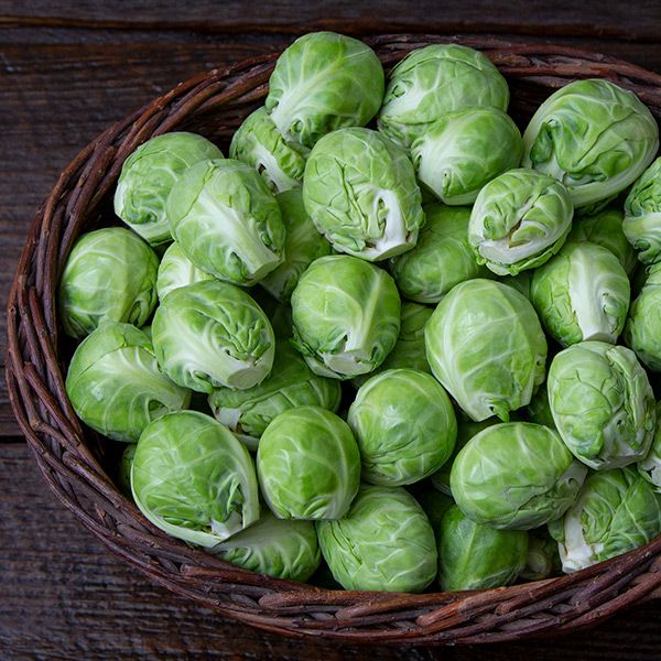 Dagan F1 Brussels Sprouts