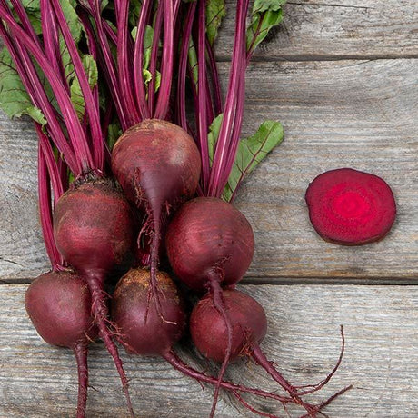 Detroit Dark Red Beet