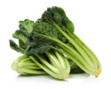 1000 TATSOI Brassica Rapa Rosularis Tat Soi Bok Choy Spinach Mustard Vegetable Seeds