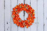 100 CHINESE LANTERN (Winter or Ground Cherry / Japanese Lantern) Physalis Alkekengi Flower Seeds