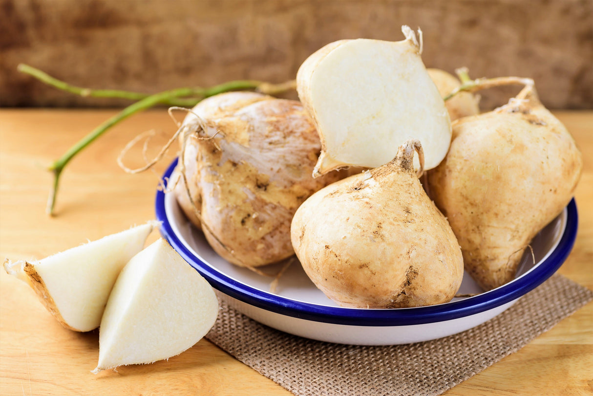 20 JICAMA Mexican Yam Bean Potato Bean Pachyrhizus Erosus Vining Legume Root Vegetable Blue Flower Seeds