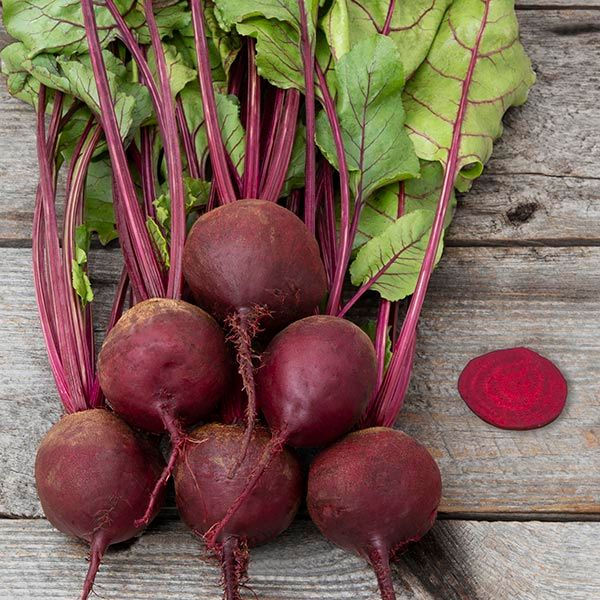 Early Wonder Tall Top Beet