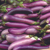 Ping Tung Long Eggplant