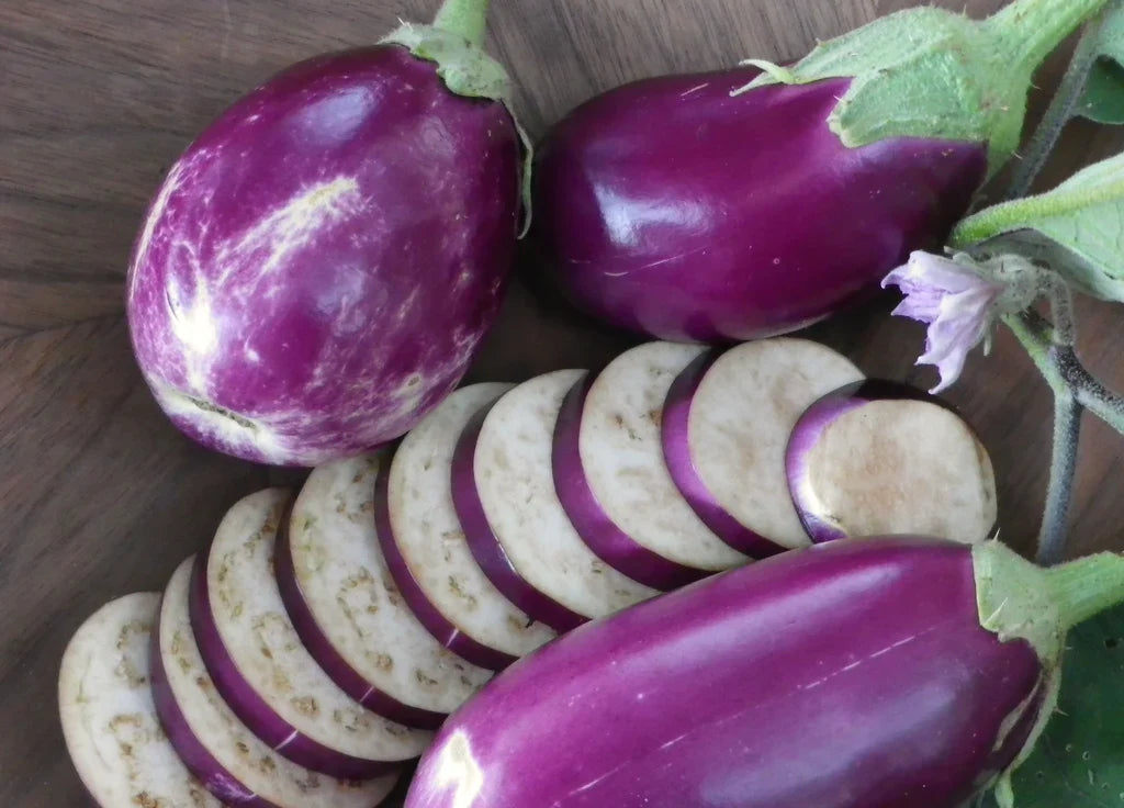 Rosita Eggplant