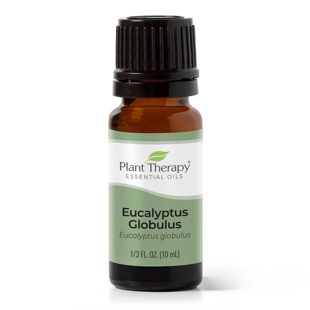 Eucalyptus Globulus Essential Oil