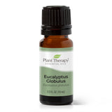 Eucalyptus Globulus Essential Oil