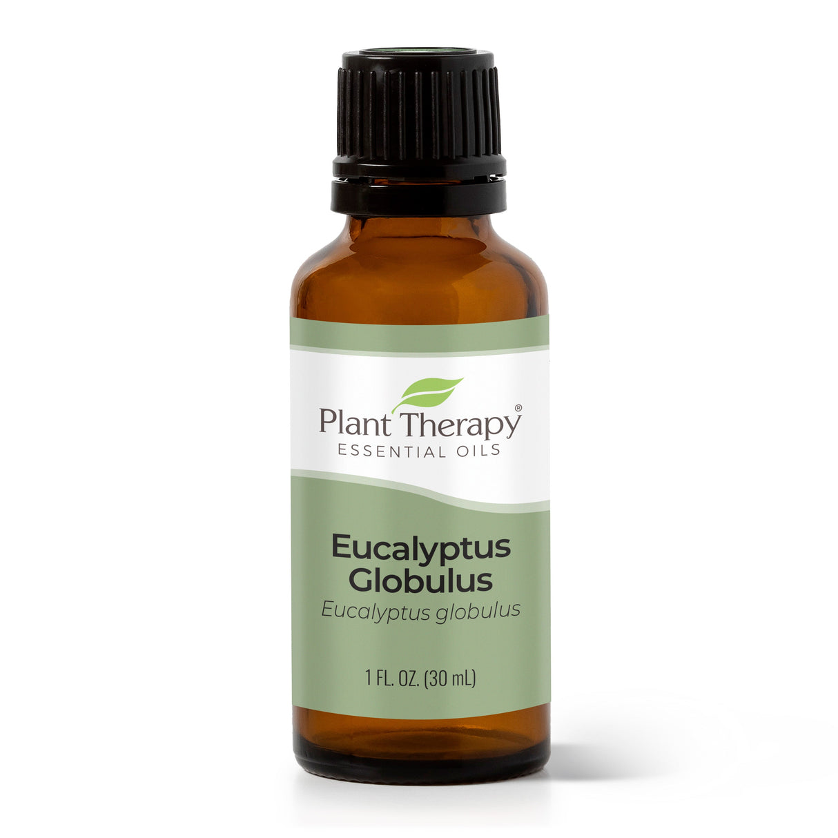 Eucalyptus Globulus Essential Oil