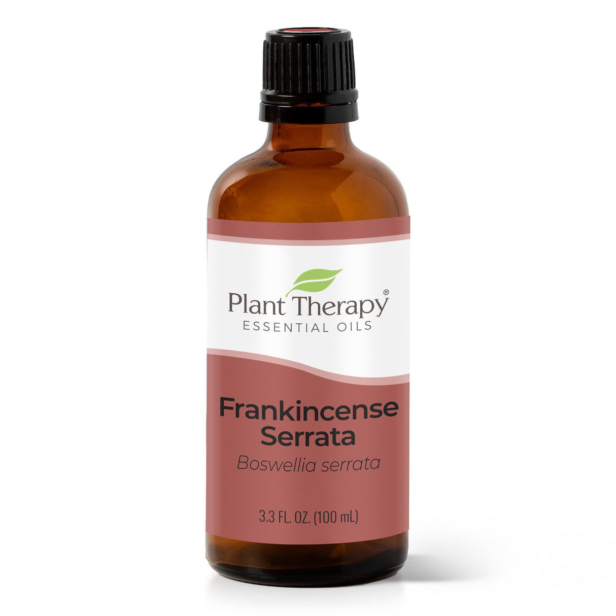 Frankincense Serrata Essential Oil