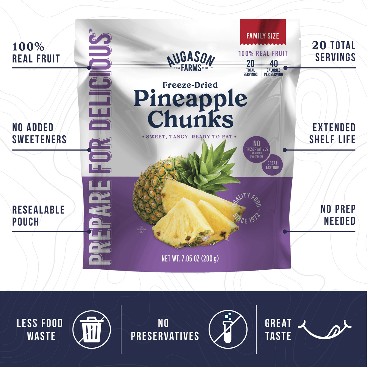 Freeze Dried Pineapple Chunks Family Size Pouch, 20 Servings
