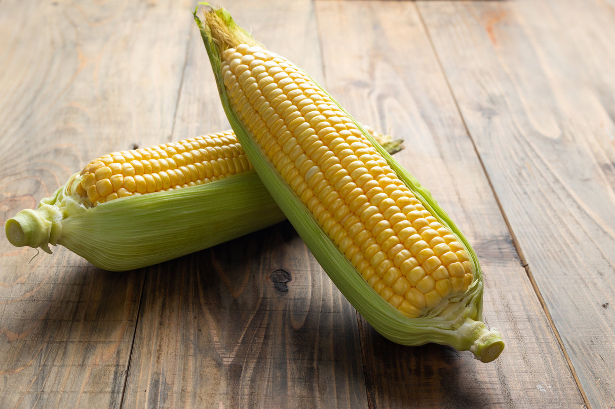 Sweet New Mama Corn
