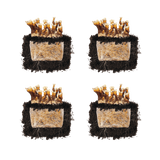Reishi 'Plant & Grow' Mushroom Starter Block