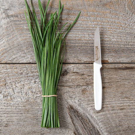 Garlic Chives