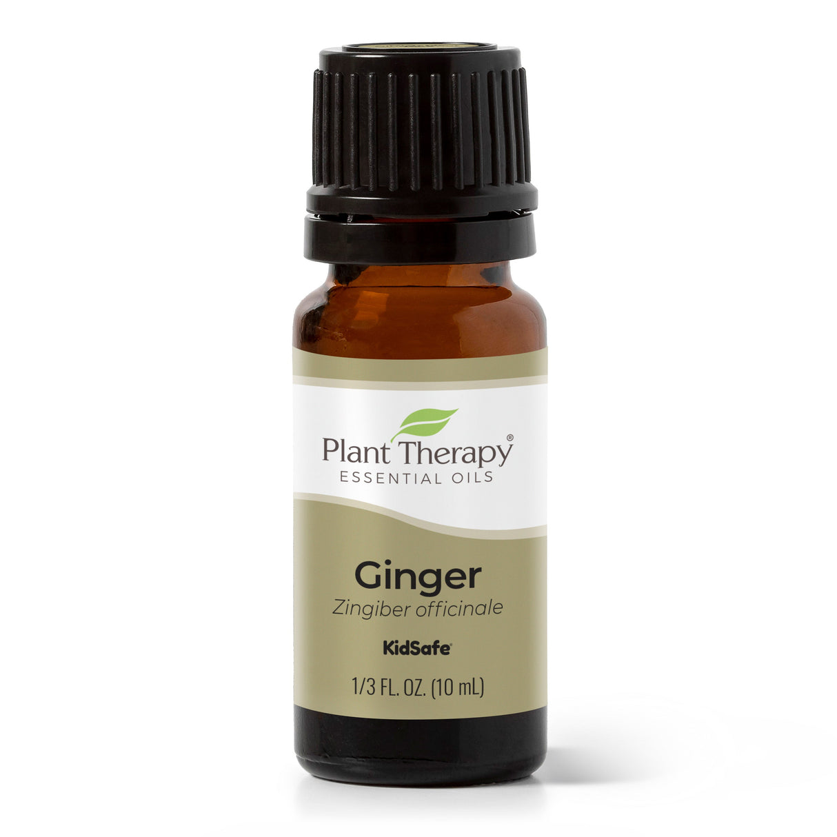 Ginger Essential Oil