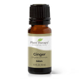 Ginger Essential Oil