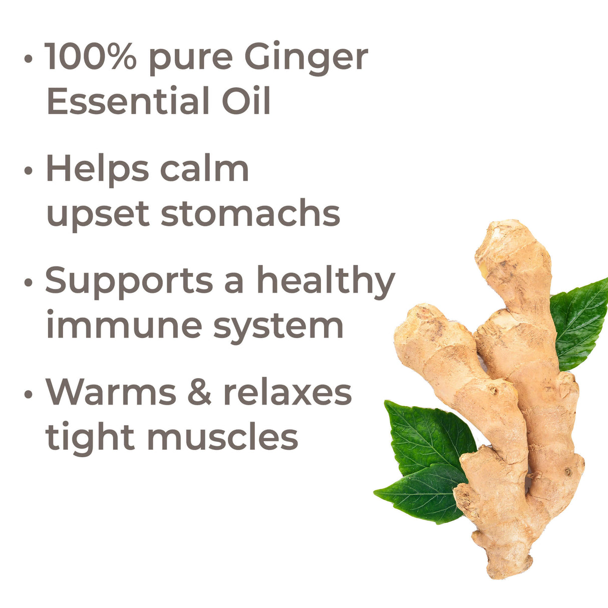 Ginger Essential Oil