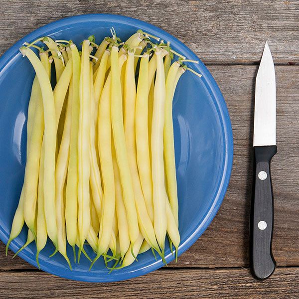 Gold Rush Yellow Wax Bean